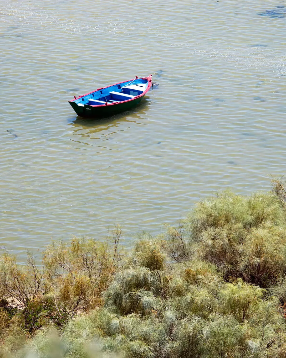 Ria Formosa numa paisagem entre canais Ria Formosa numa paisagem entre canais